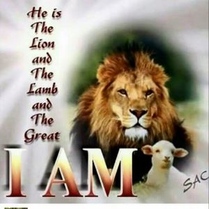 Meet your Posher, Earline